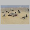 25-01-02---007- Plage.JPG